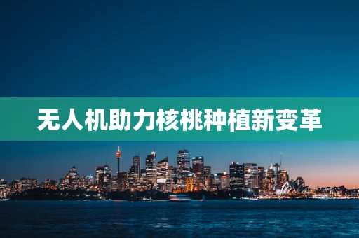 无人机助力核桃种植新变革