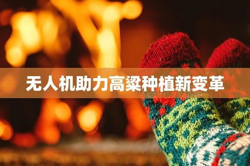 无人机助力高粱种植新变革