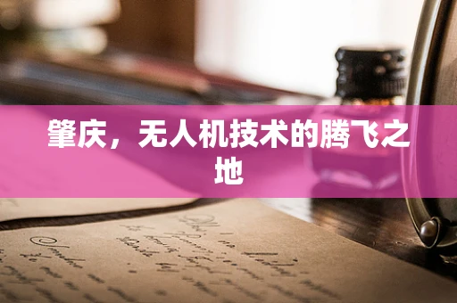 肇庆，无人机技术的腾飞之地