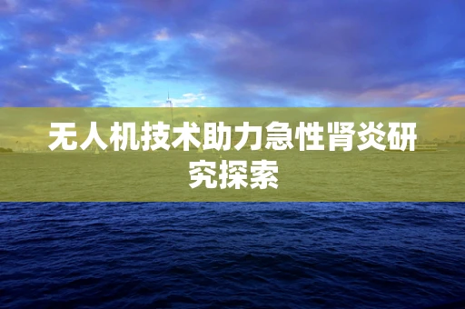 无人机技术助力急性肾炎研究探索