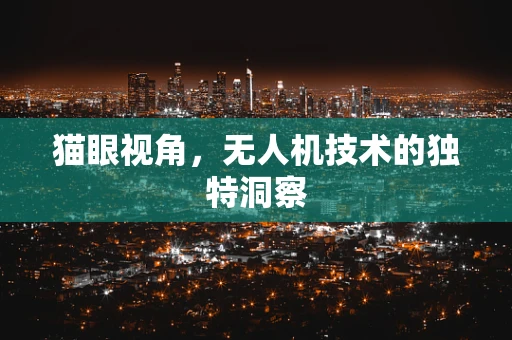 猫眼视角，无人机技术的独特洞察