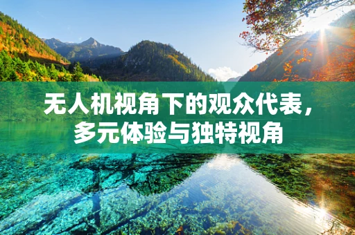 无人机视角下的观众代表，多元体验与独特视角