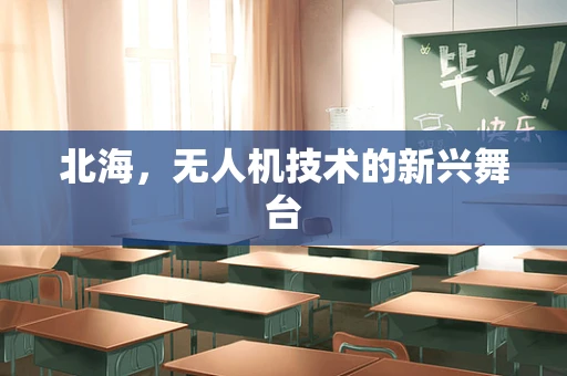 北海，无人机技术的新兴舞台