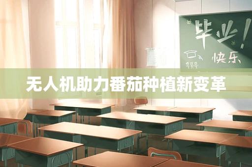 无人机助力番茄种植新变革