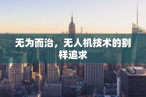 无为而治，无人机技术的别样追求