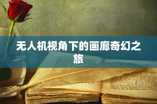 无人机视角下的画廊奇幻之旅