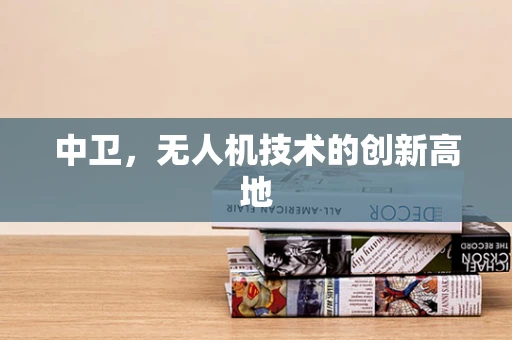 中卫，无人机技术的创新高地