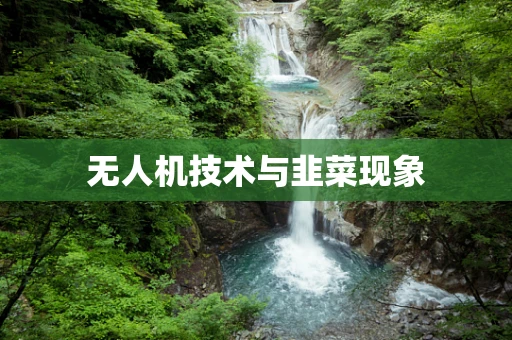 无人机技术与韭菜现象