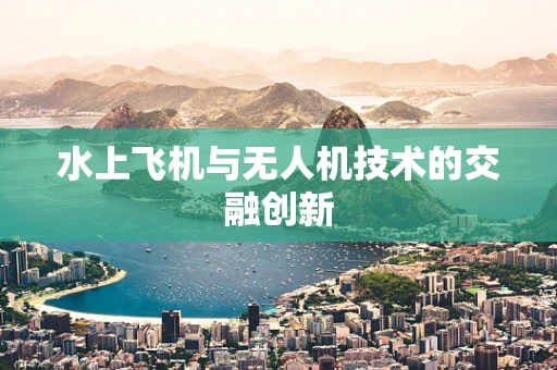 水上飞机与无人机技术的交融创新
