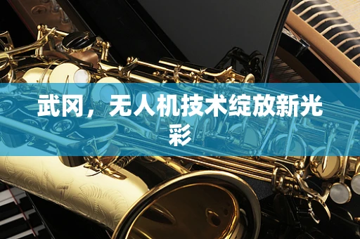 武冈，无人机技术绽放新光彩