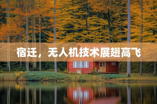 宿迁，无人机技术展翅高飞