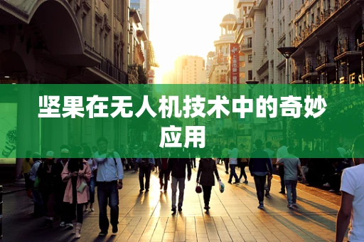 坚果在无人机技术中的奇妙应用