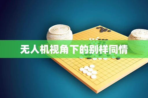无人机视角下的别样同情