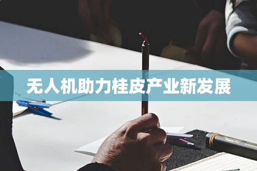 无人机助力桂皮产业新发展