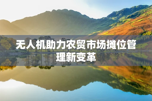 无人机助力农贸市场摊位管理新变革