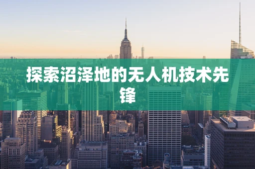 探索沼泽地的无人机技术先锋
