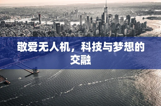 敬爱无人机，科技与梦想的交融