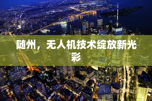 随州，无人机技术绽放新光彩