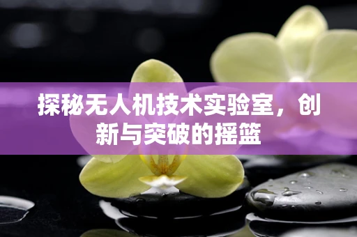 探秘无人机技术实验室，创新与突破的摇篮