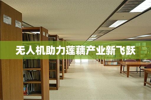 无人机助力莲藕产业新飞跃