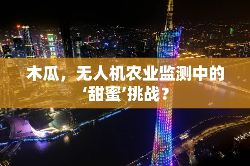 木瓜，无人机农业监测中的‘甜蜜’挑战？