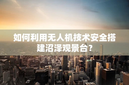 如何利用无人机技术安全搭建沼泽观景台？