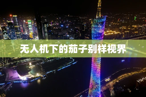 无人机下的茄子别样视界