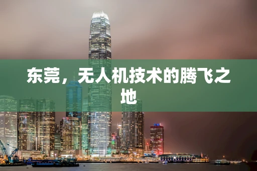 东莞，无人机技术的腾飞之地