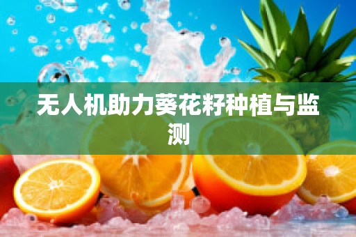 无人机助力葵花籽种植与监测
