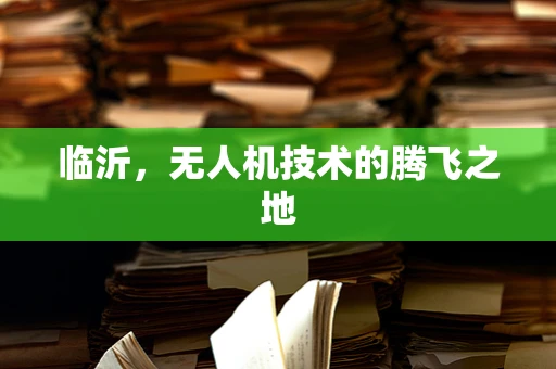 临沂，无人机技术的腾飞之地