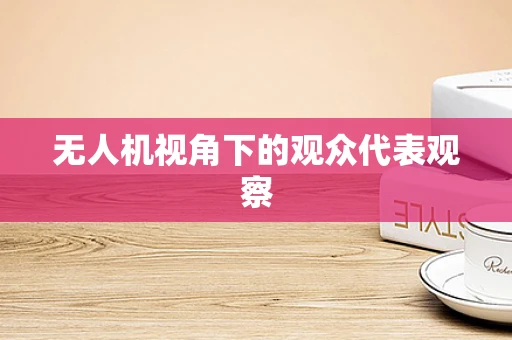 无人机视角下的观众代表观察