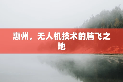 惠州，无人机技术的腾飞之地
