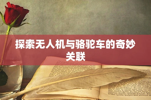 探索无人机与骆驼车的奇妙关联