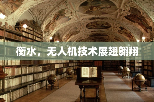 衡水，无人机技术展翅翱翔