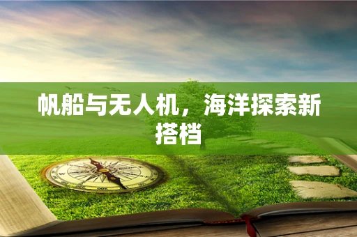 帆船与无人机，海洋探索新搭档
