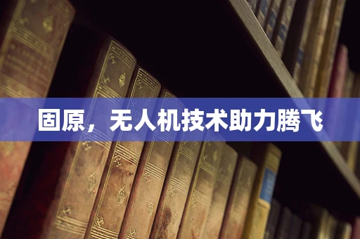 固原，无人机技术助力腾飞