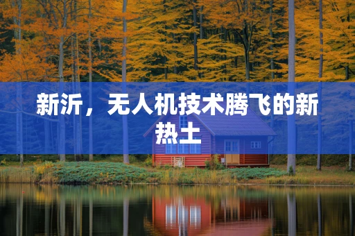 新沂，无人机技术腾飞的新热土