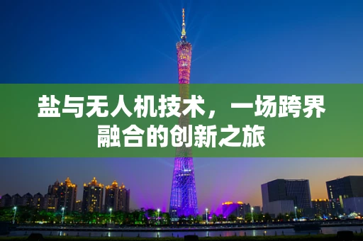 盐与无人机技术，一场跨界融合的创新之旅