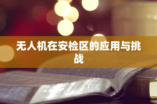 无人机在安检区的应用与挑战