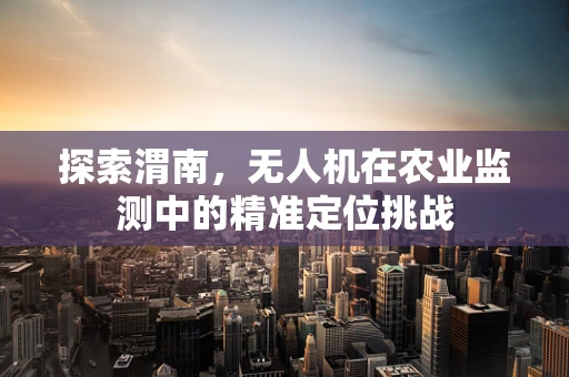 探索渭南，无人机在农业监测中的精准定位挑战