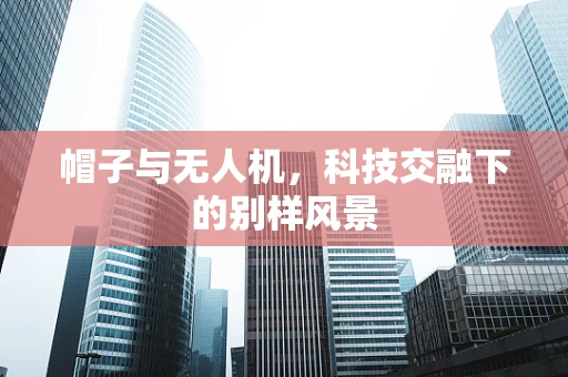 帽子与无人机，科技交融下的别样风景