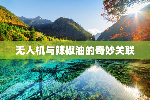 无人机与辣椒油的奇妙关联