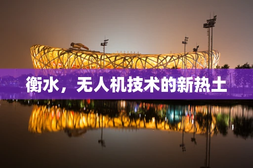 衡水，无人机技术的新热土