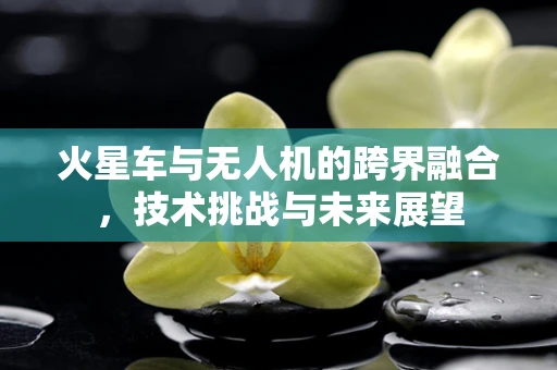 火星车与无人机的跨界融合，技术挑战与未来展望