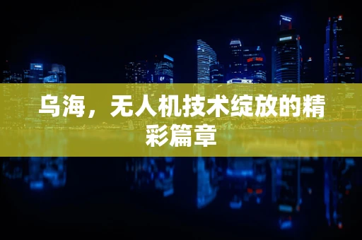 乌海，无人机技术绽放的精彩篇章
