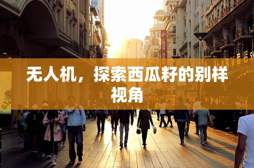 无人机，探索西瓜籽的别样视角