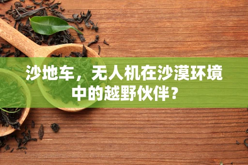 沙地车，无人机在沙漠环境中的越野伙伴？