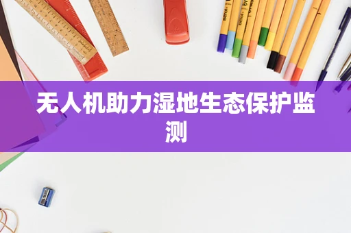 无人机助力湿地生态保护监测