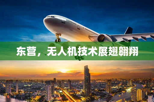东营，无人机技术展翅翱翔