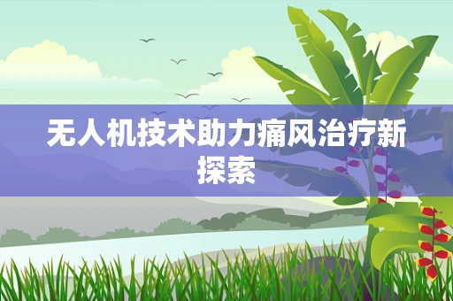 无人机技术助力痛风治疗新探索